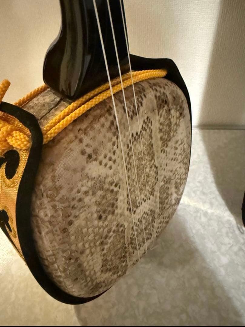 三線（蛇皮＋人工皮）、ケース付き