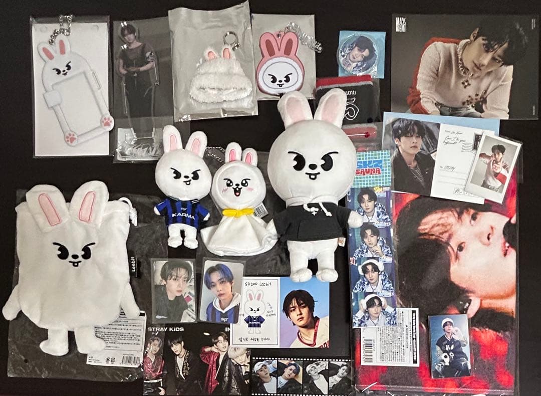 Stray Kids スキズ リノ トレカ グッズ まとめ売り リービット