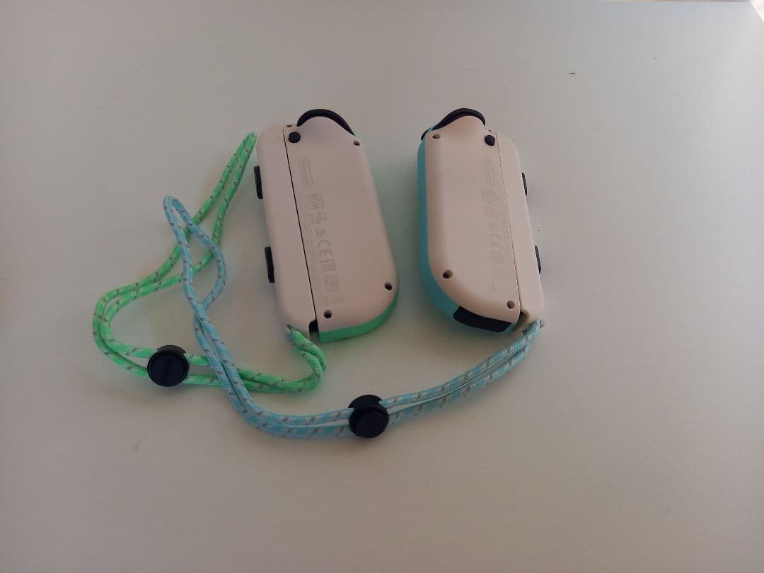 Nintendo Switch どうぶつの森セット(ソフトなし)&おまけ付き