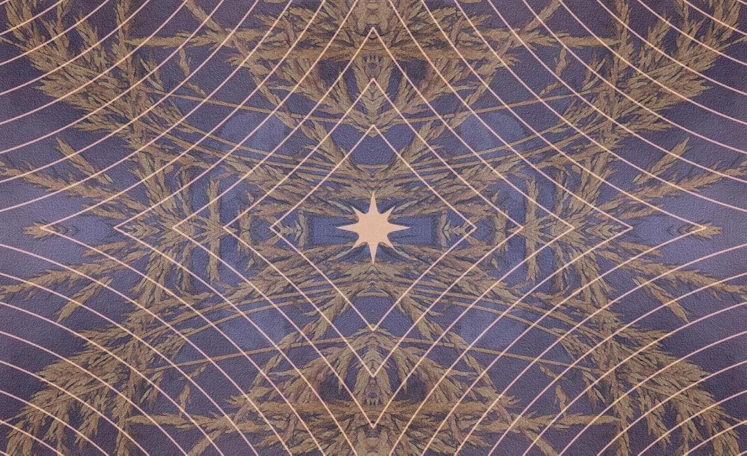 【正規品オラクルカード】超希少✨美しく幻想的な馬たちの知恵のオラクルカード