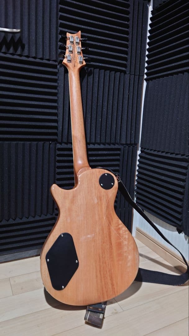 PRS ZACH MYERS シグネチャーモデル