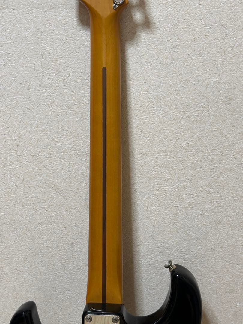 ギター CASIO PG-300