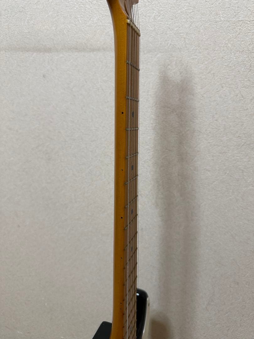 ギター CASIO PG-300