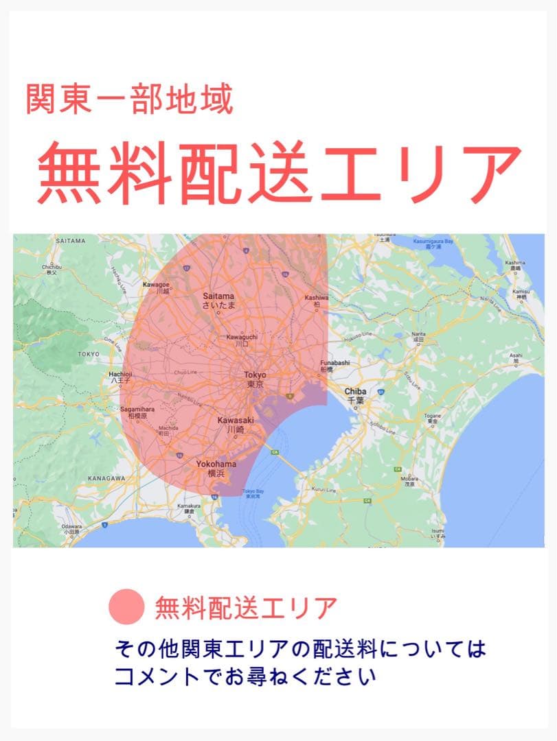 超人気！BIKKE ビッケ16AH！⭐️ブリヂストン子供乗せ電動自転車Y3257