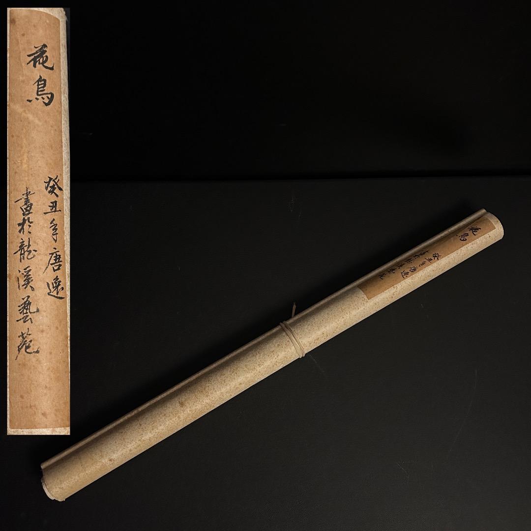 唐逸 鶏図 掛軸 中国古美術 書画QS-6