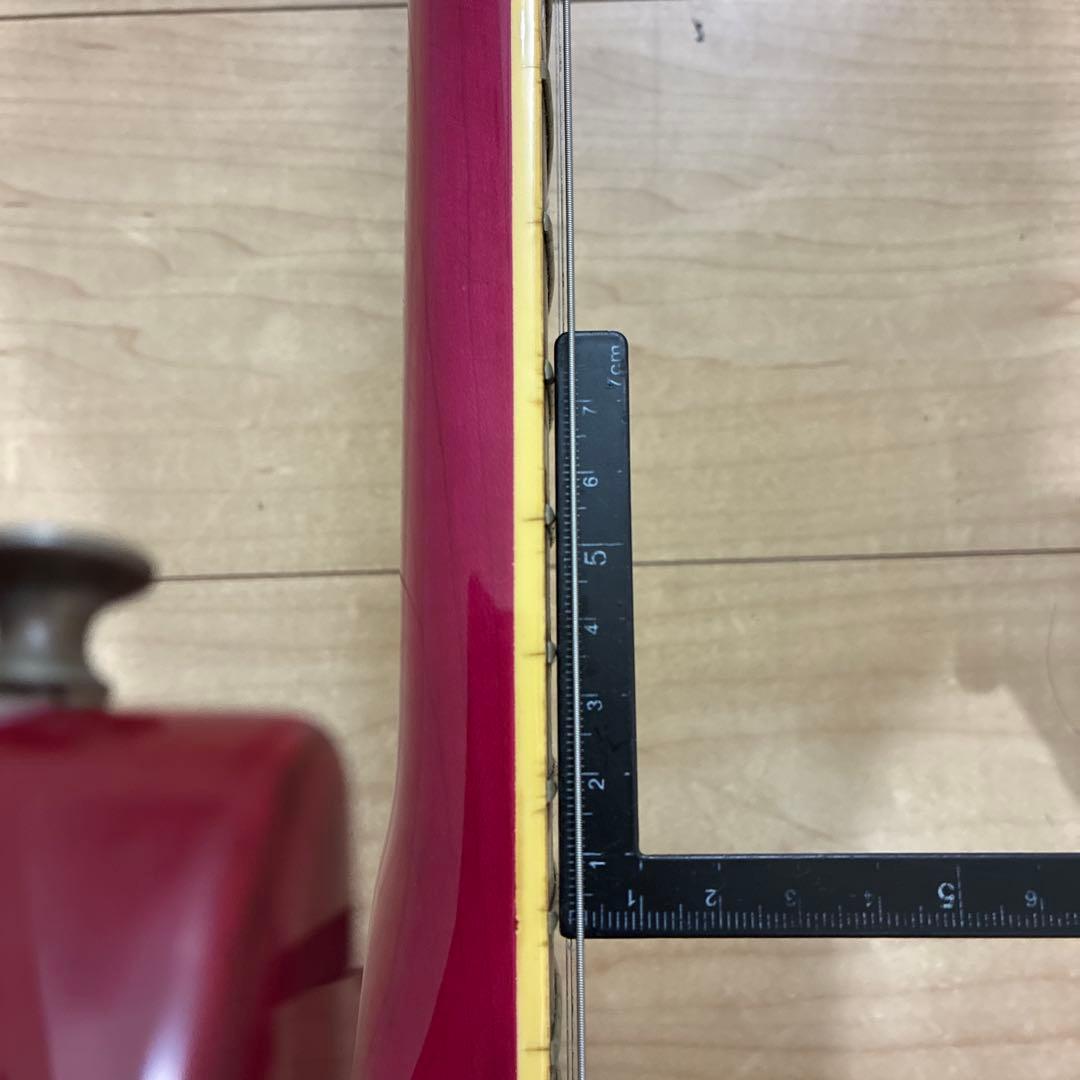 ESP系　ホライゾンHH SPキルトトップ　タケウチフロイドローズ　エレキギター