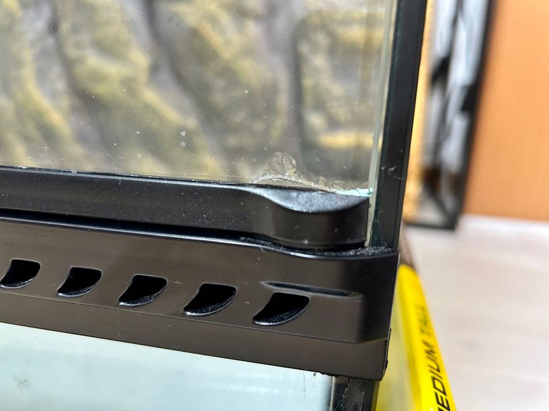 （大型）爬虫類ケージ　ＧＥＸ　エキゾテラ　グラステラリウム　６０６０　爬虫類