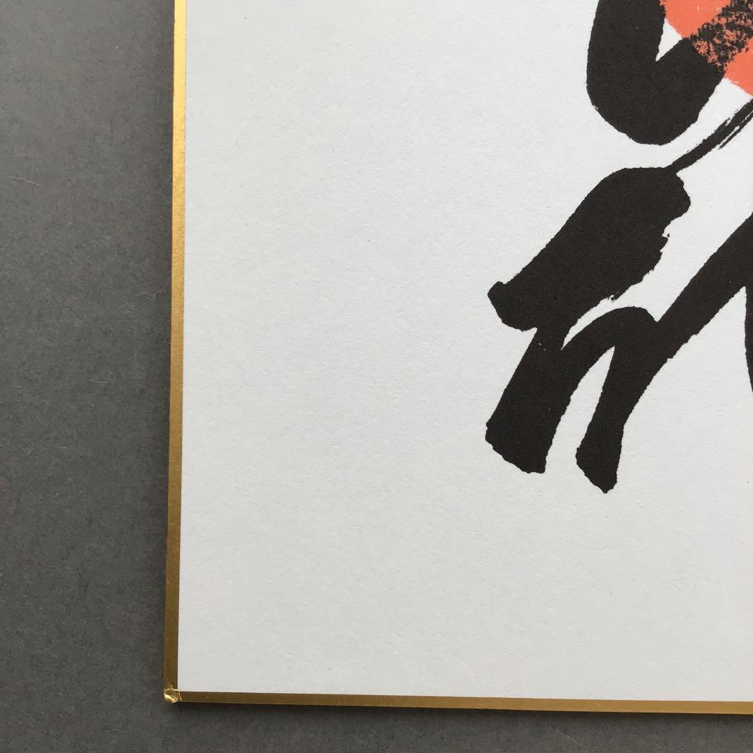 色紙　若乃花、貴乃花直筆揮毫手形　記念写真付　畳紙　配送用袋　S1040SS