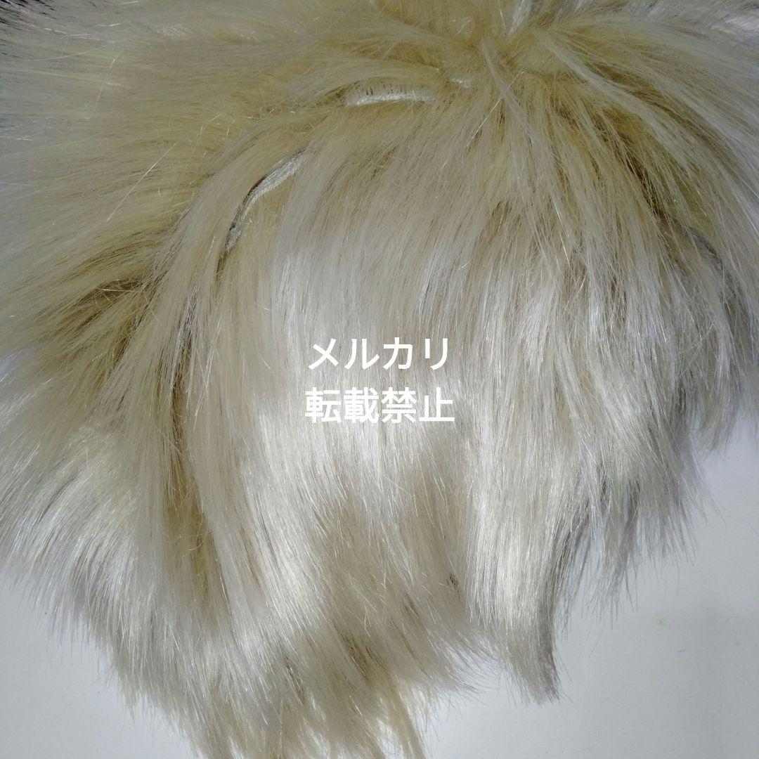 【レア・美品】聖飢魔II ライデン殿下 ウィッグ ゴールド