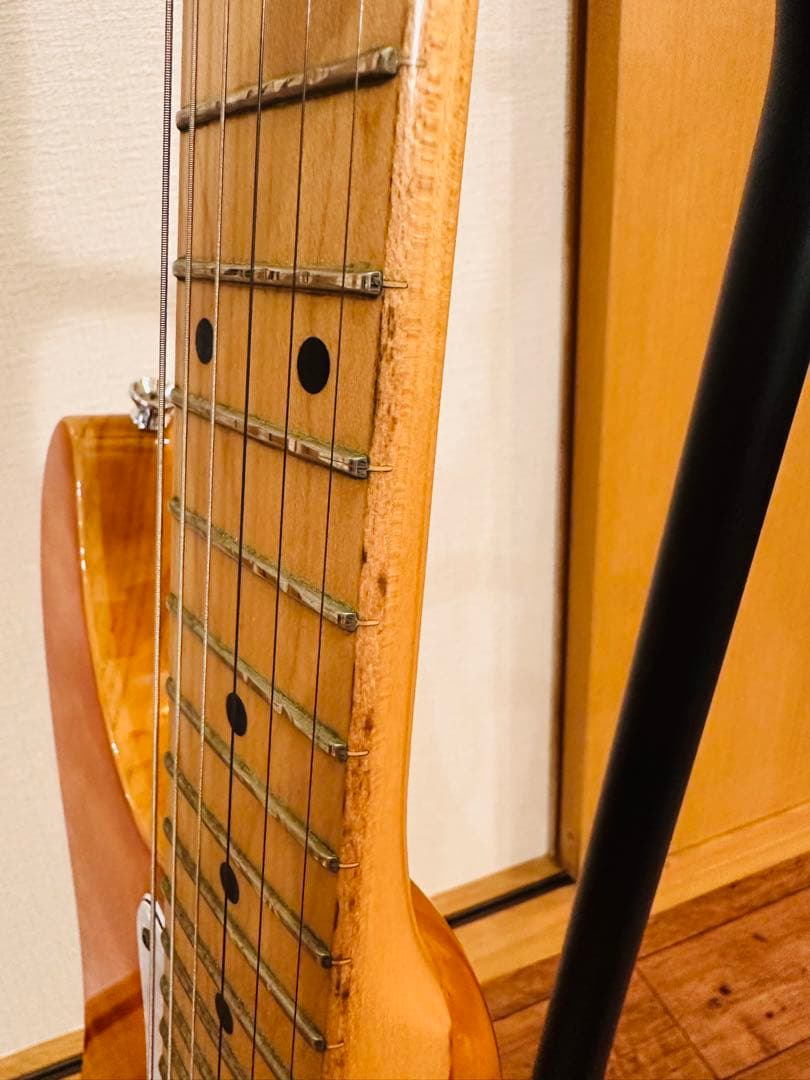 ギター Schector SD-2-24 ASH