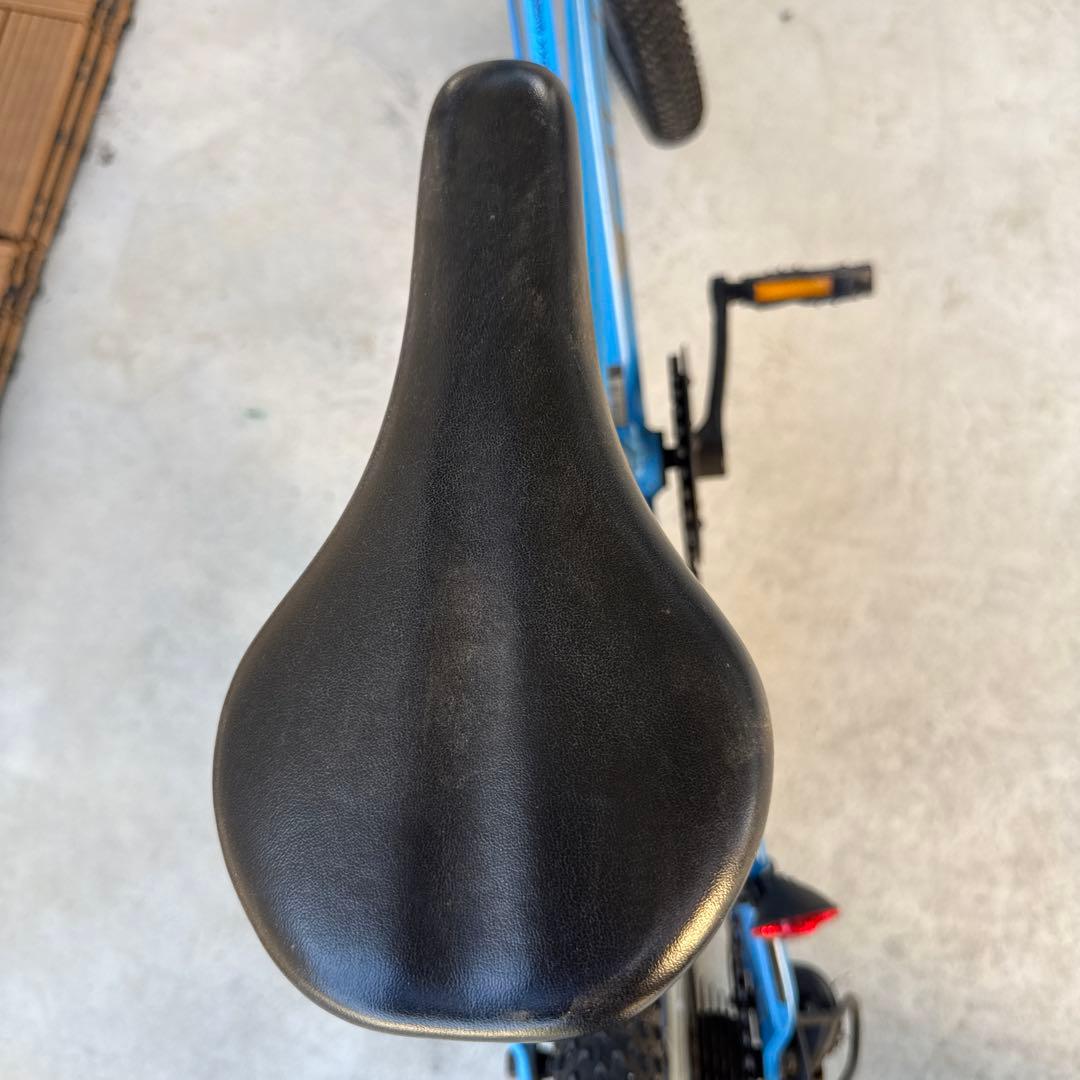 Giant キッズバイク 20インチ 青