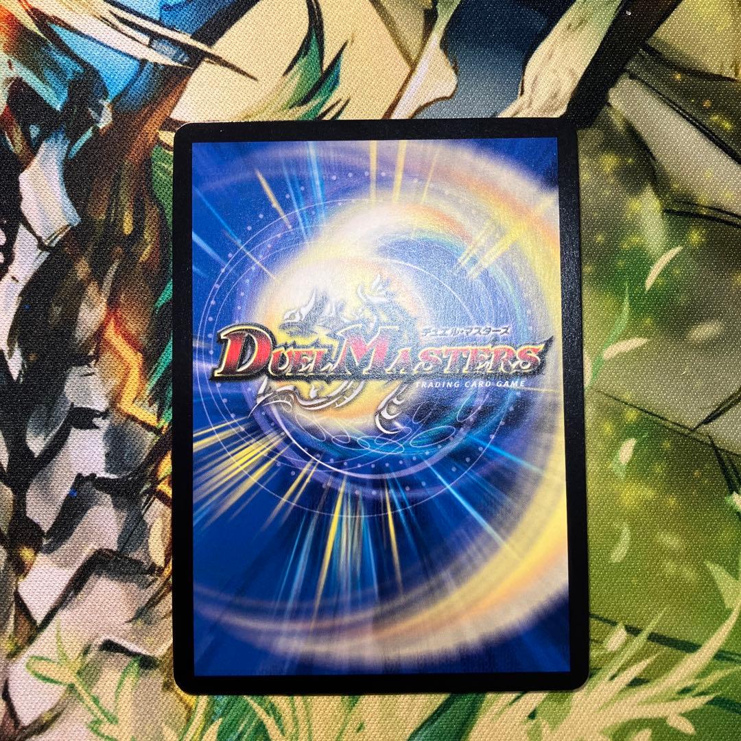 飛翔龍5000vt ダイヤモンド シク