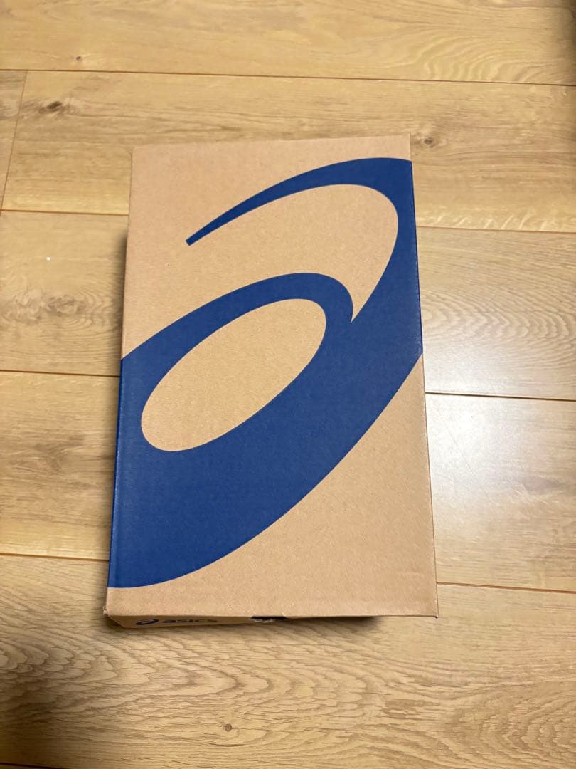 25.0 [アシックス] バレーボールシューズ GEL-ROCKET 10