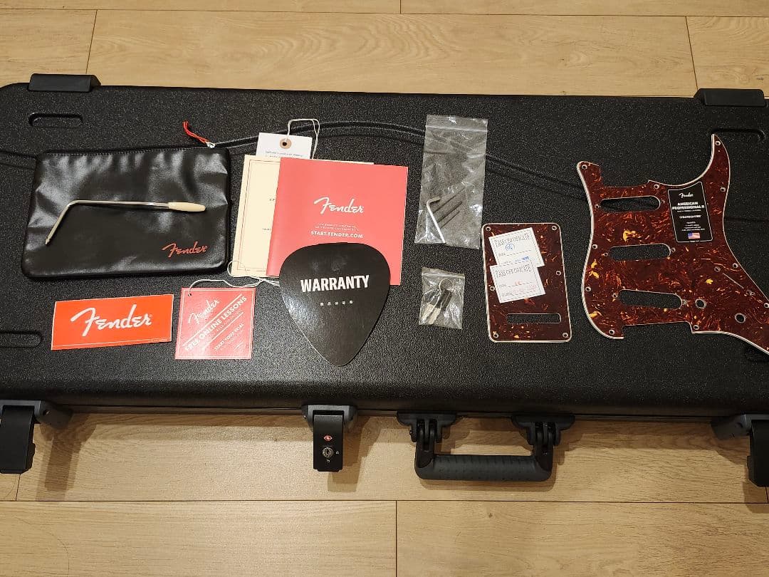 【6末で非公開にします】American Professional II