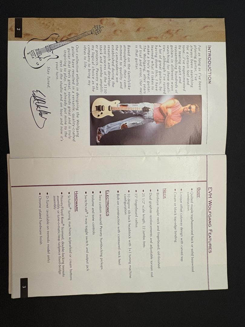 Peavey USA Wolfgang 金ロゴ 初期物 97年製