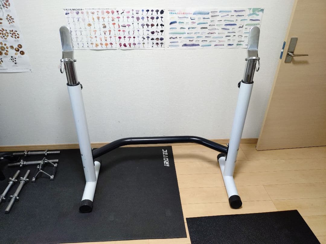 IROTEC アイロテック　ダンベルプレート　シャフト　ベンチ　一式