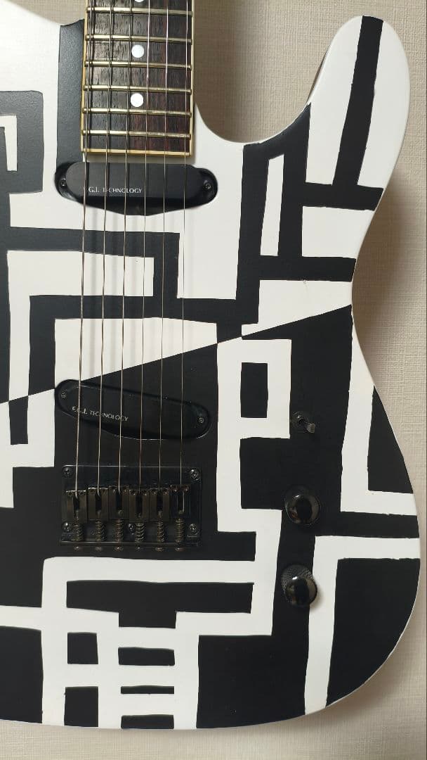 FERNANDES　TEJ-HOTEI　BLACK&WHITE　電子部品なし