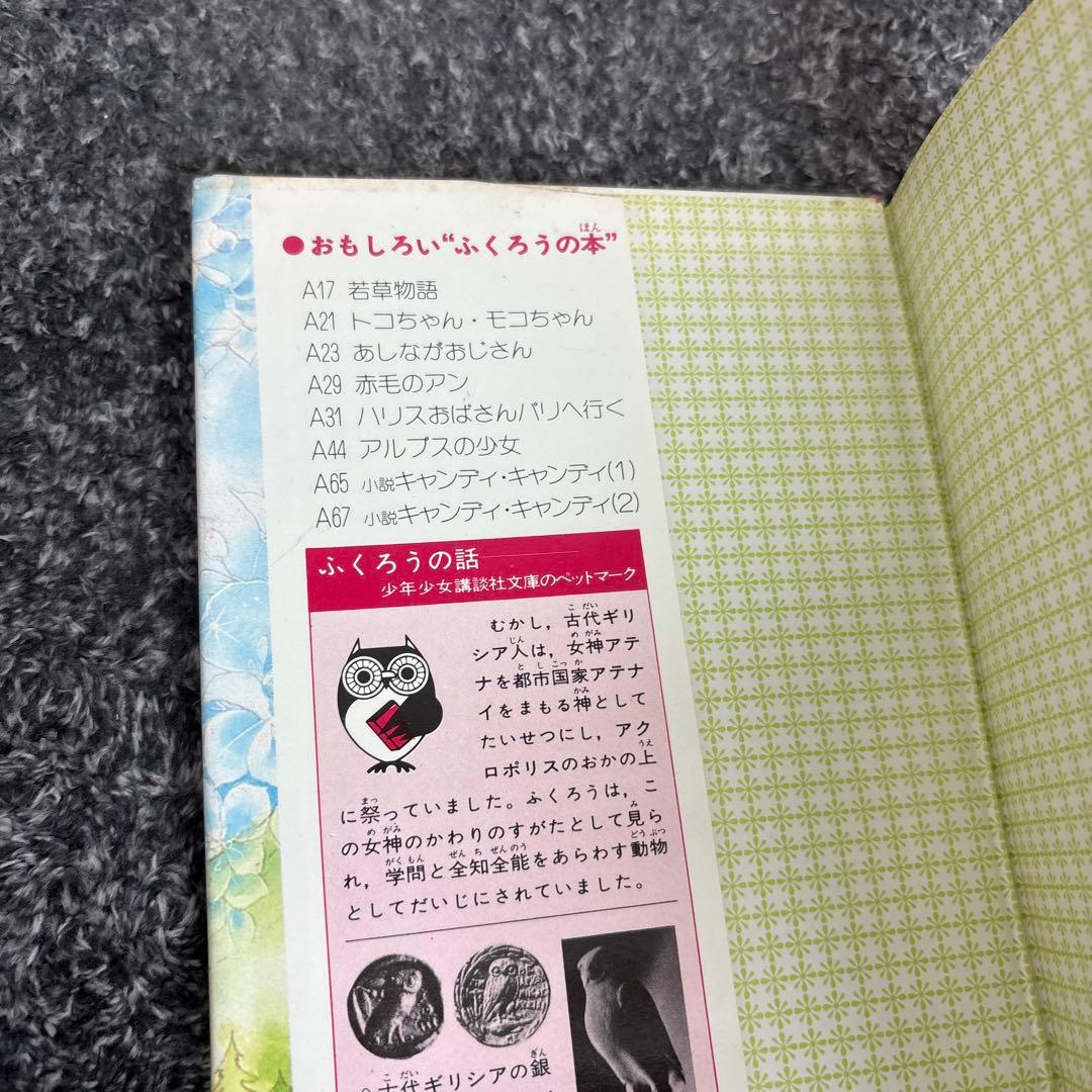 キャンディキャンディ 小説