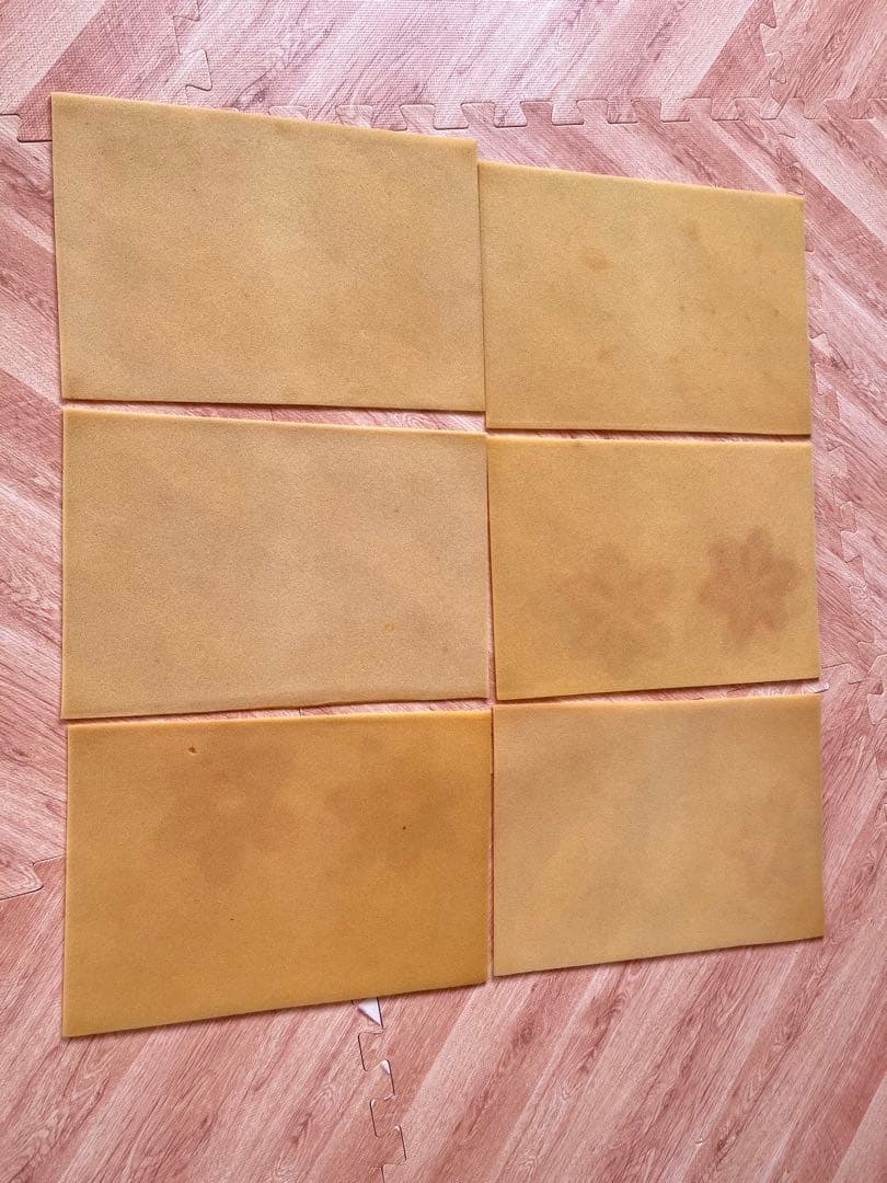 【動作確認済】柳川式電気押し花器 押し花器 ドライフラワー　作成機