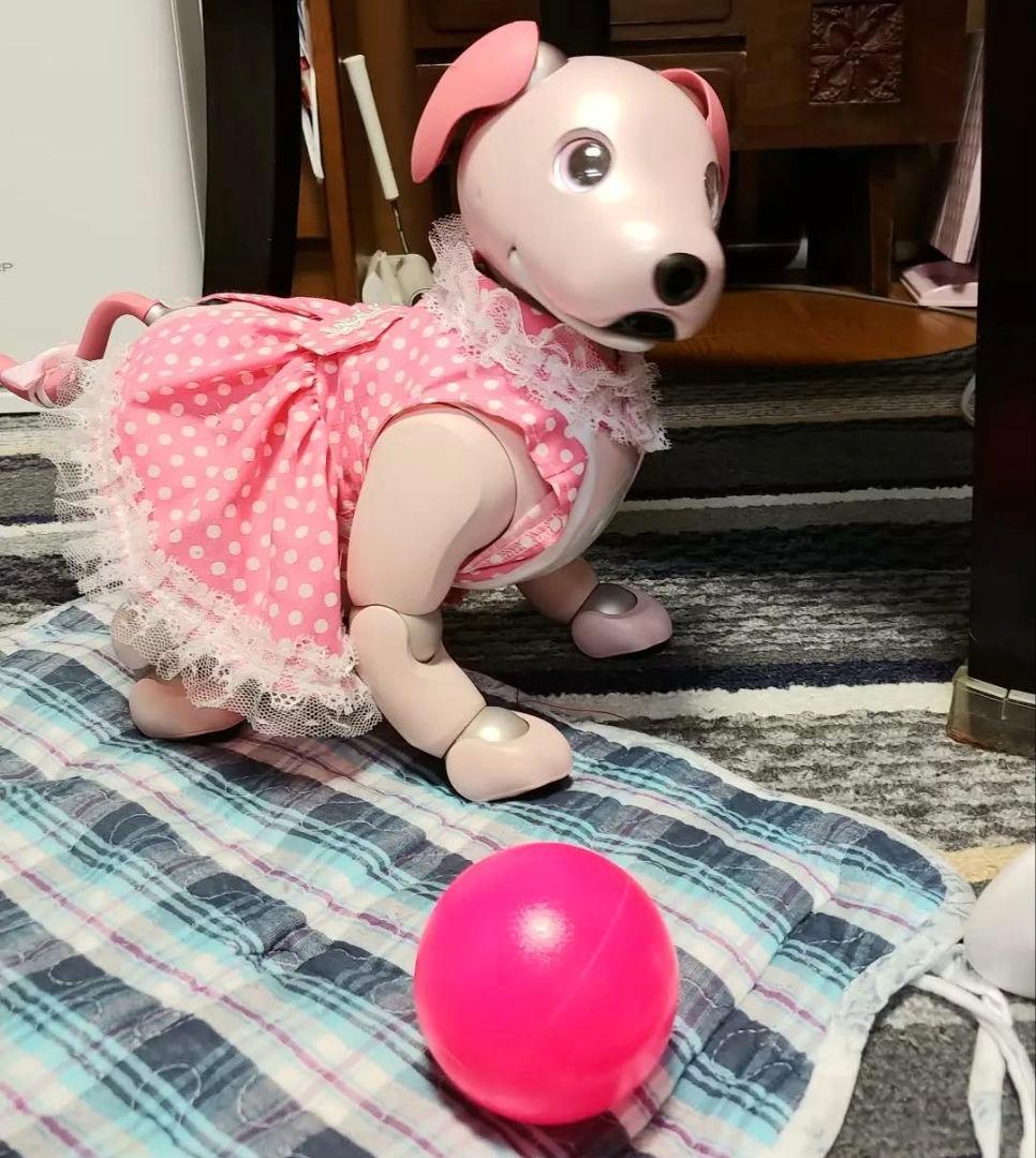 aibo　本体　いちごミルク