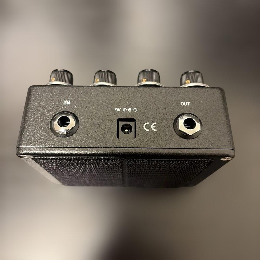 ギター Browne Amplification Protein V4