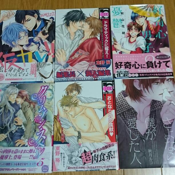 ＢＬコミックー１８冊