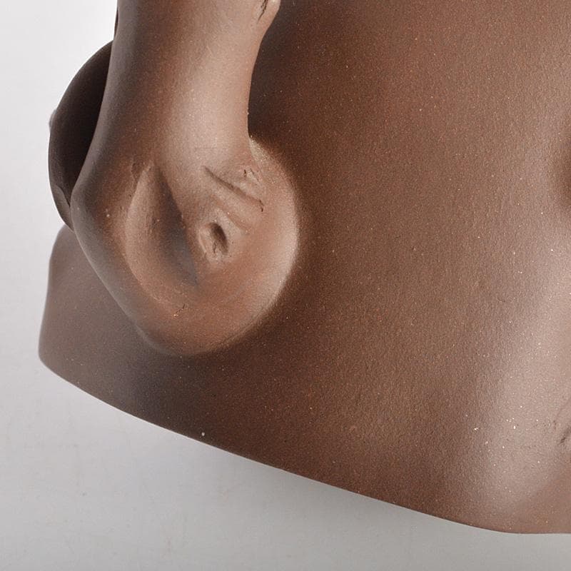 中国　紫砂　朱泥　栗鼠果実文　急須　茶壷　在銘　C　6411