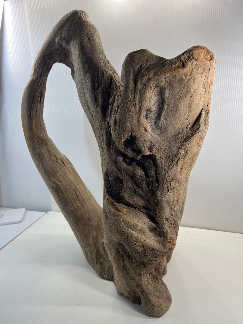 m10特大流木 アク抜き済み 爬虫類シェルター 登り木 インテリア オブジェ