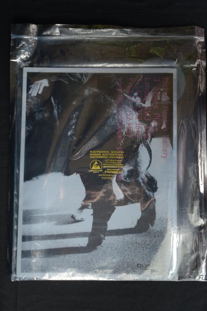 【Daido Moriyama Vintage Prints：森山大道】