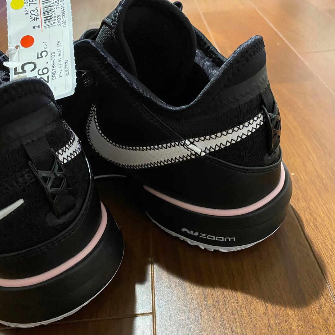 新品未使用　NIKE ZOOM LEBRON NXXT Gen EP