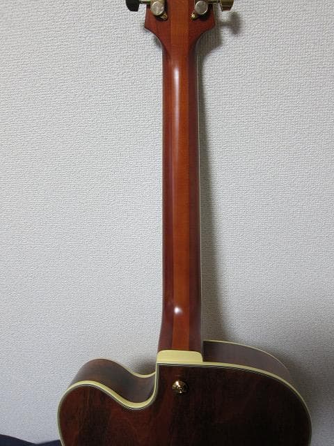 cotrane様　Ibanez PM3C Natural Amber
