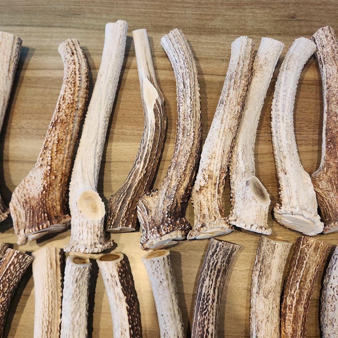 ぶち　鹿の角 (特大～大サイズ)犬用おもちゃ ランダム　2kg　8本