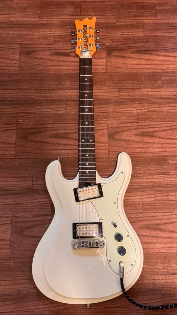 未使用　Aria Pro II 3TS カートコバーン　ユニボックス リニュー