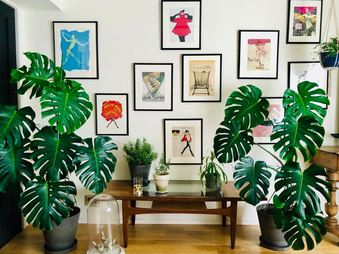 1980's ルネグリュオ ヴィンテージポスター