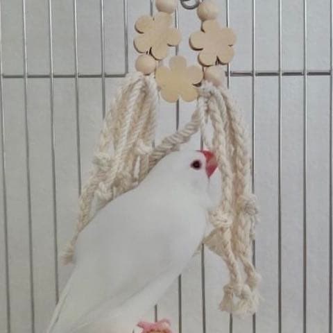 安全で安心《お花のナチュラルかみかみ》鳥おもちゃ インコおもちゃ