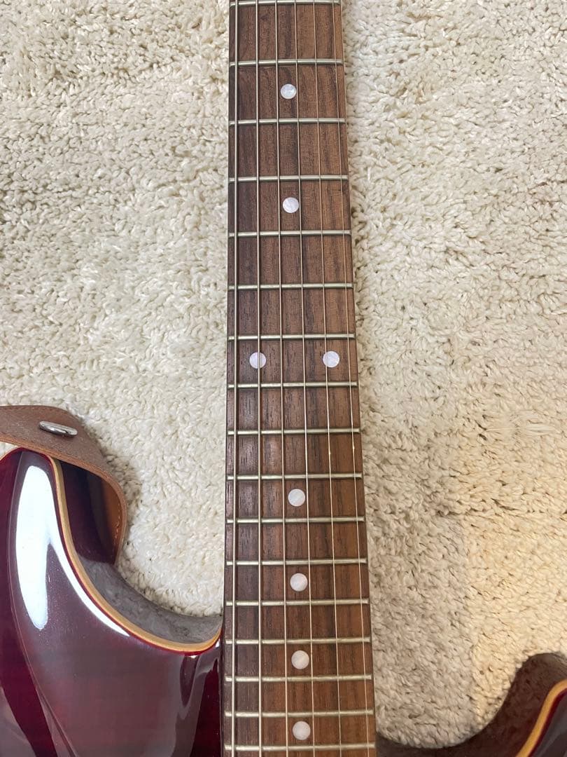 SCHECTER RJ-1-24-VTR シェクター
