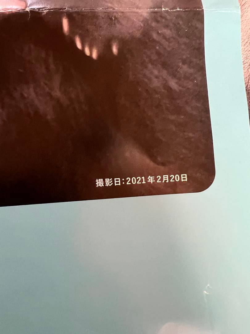 楓浜 アドベンチャーワールド　誕生記念ポスター72×51cm 白浜市配布非売品