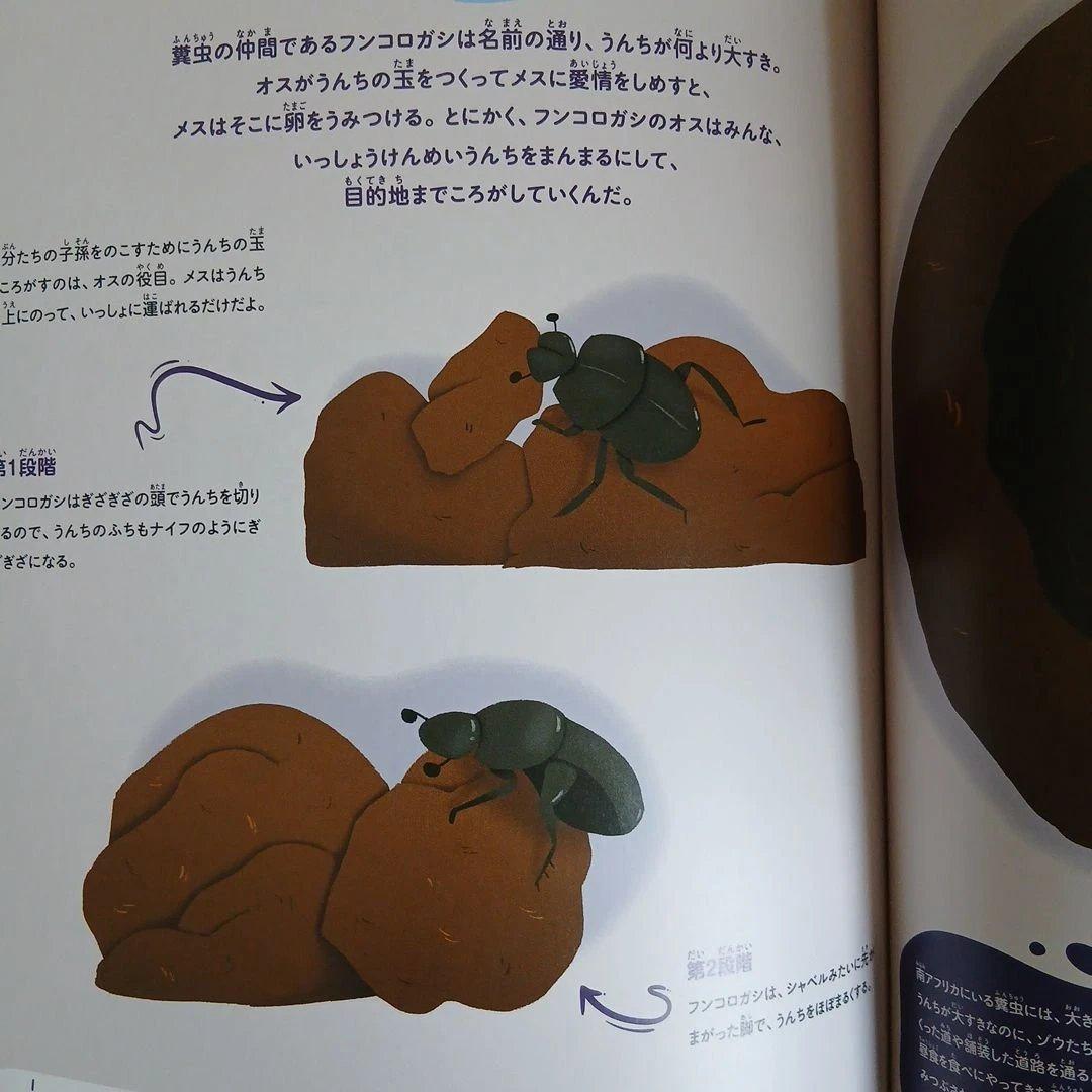 まとめ売り　絵本　仕掛け絵本　どうぶつ　せかい地図　恐竜大行進　のりものずかん