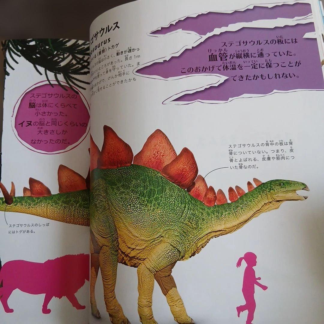 まとめ売り　絵本　仕掛け絵本　どうぶつ　せかい地図　恐竜大行進　のりものずかん