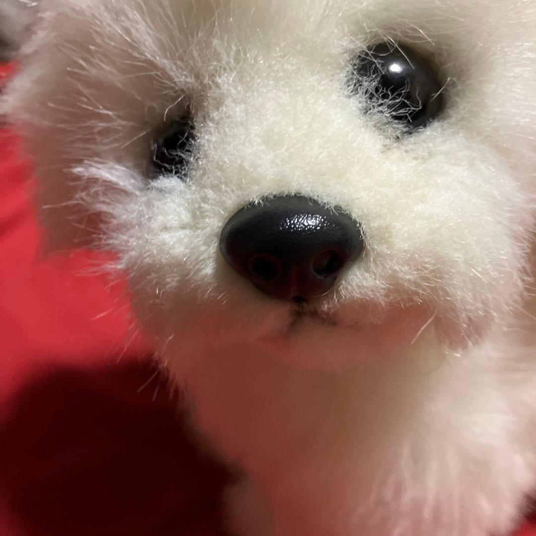 ぬいぐるみ犬　マルチーズ　リアル　白い犬　レトロぬいぐるみ