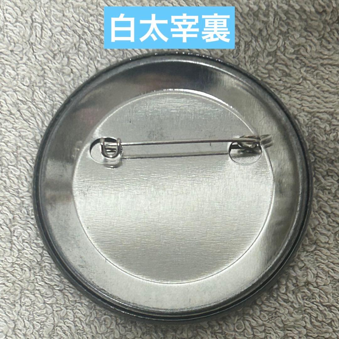 文スト DEADAPPLE 入場特典缶バッジ 春河35 コンプリート