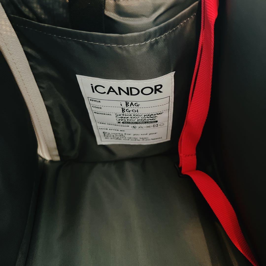 新品【iCANDOR】 i bag （Sassy Cream）犬用キャリーケース