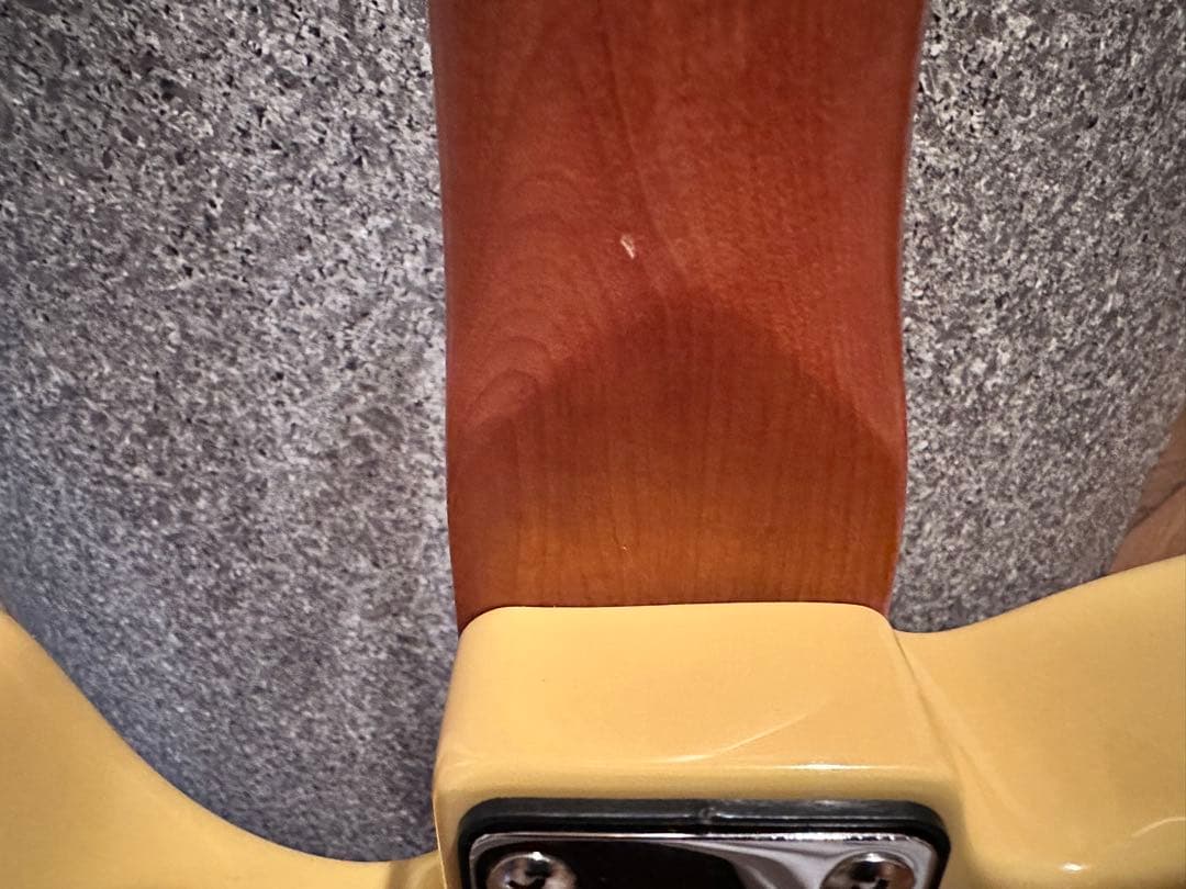 【怒犬-Dokken-】バッカス ユニバース テレキャスBTE-3改