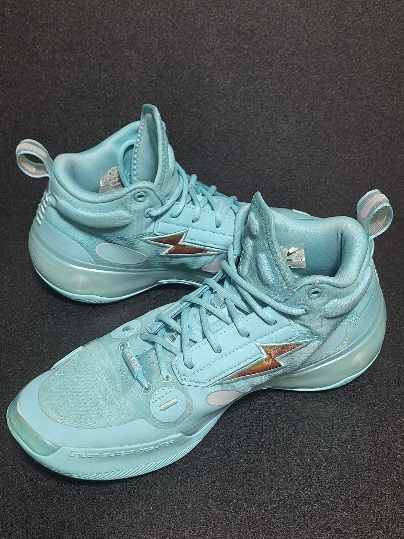 リーニン wayofwaed10 26.5箱あり