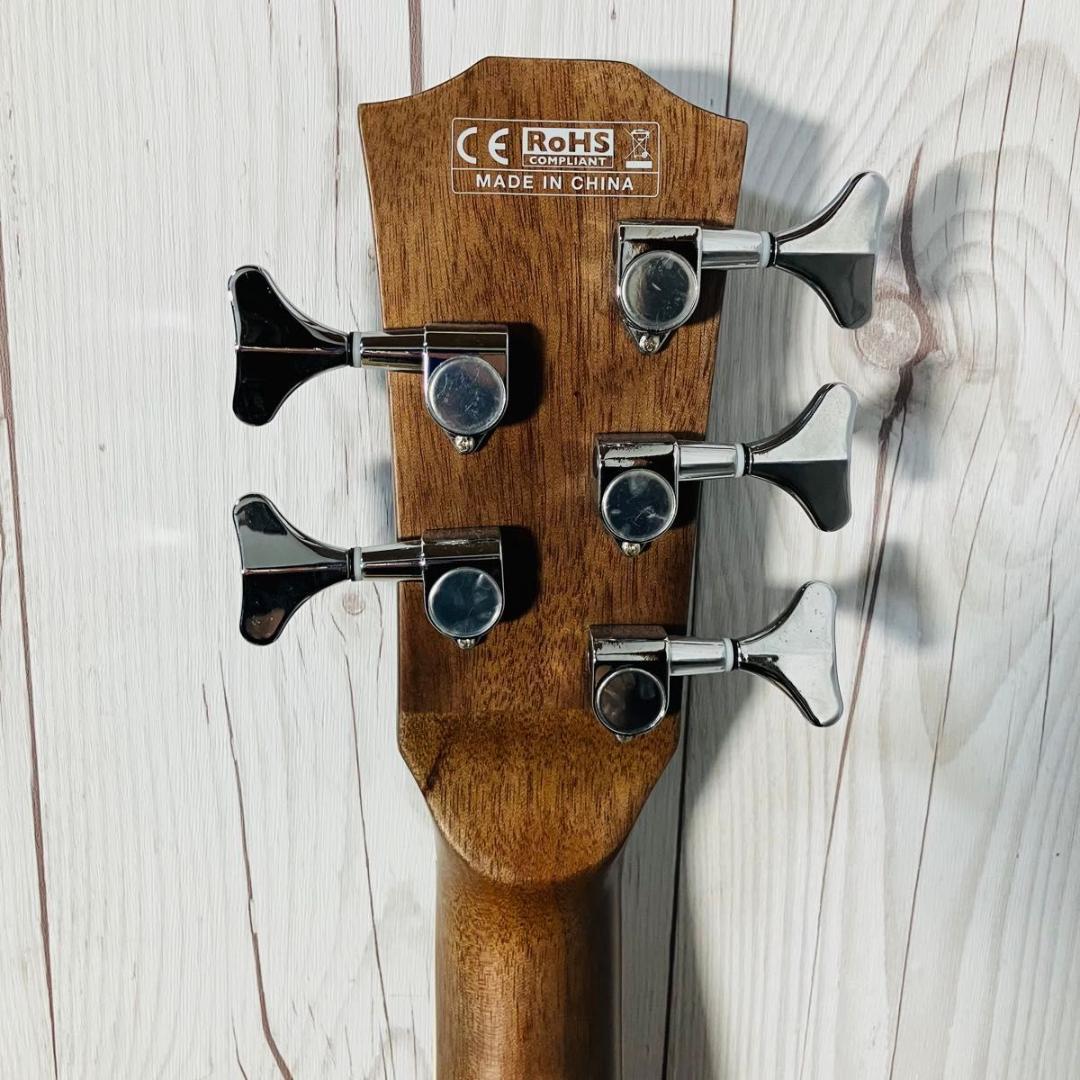 【希少 美品】ELK 5弦エレアコベース EAB-5 TBK アコースティック