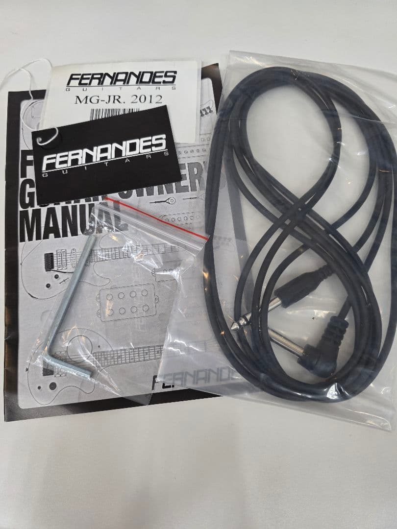 X JAPAN hide FERNANDES ミニギター アンプ内蔵　サイケ