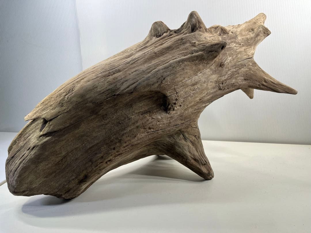 V68特大流木 アク抜き済み流木 爬虫類シェルター 登り木 インテリア 生け花