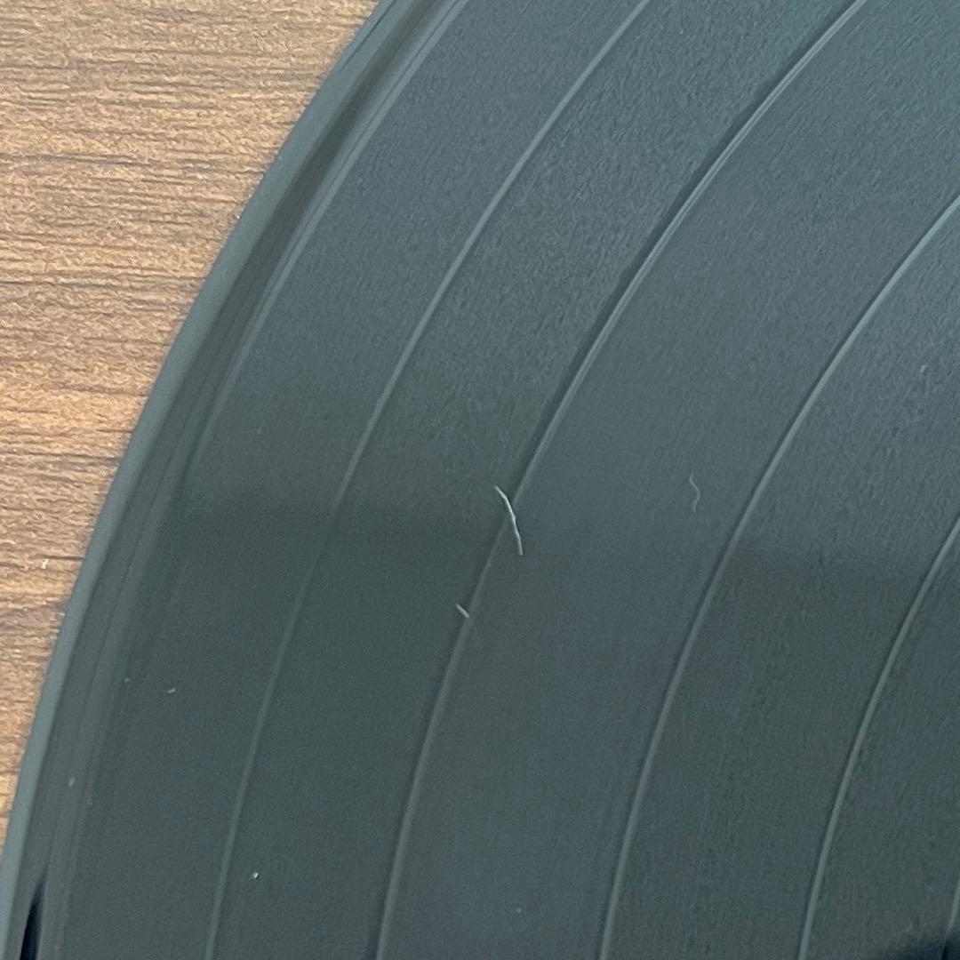 【LP/US盤】TEN FOOT POLE / REV