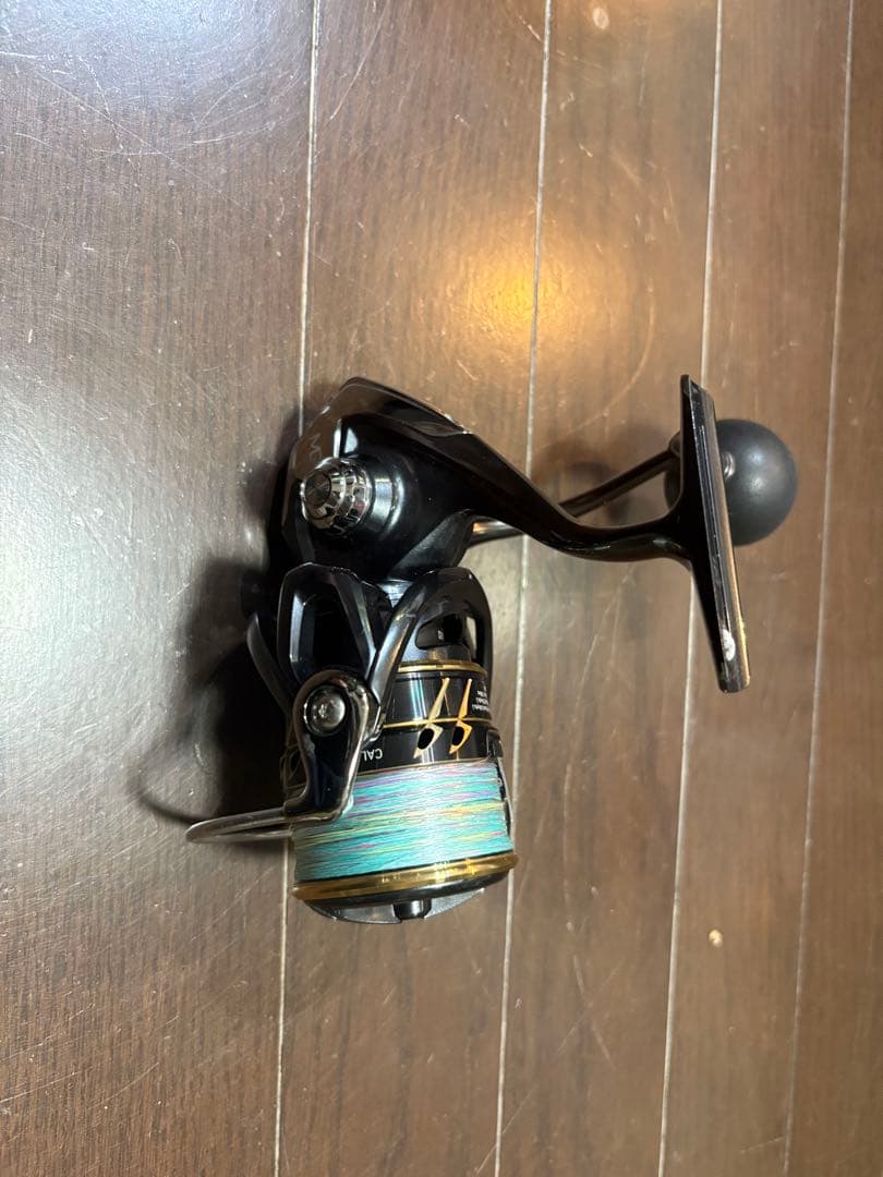 ダイワ　カルディアSW 4000D-CXH