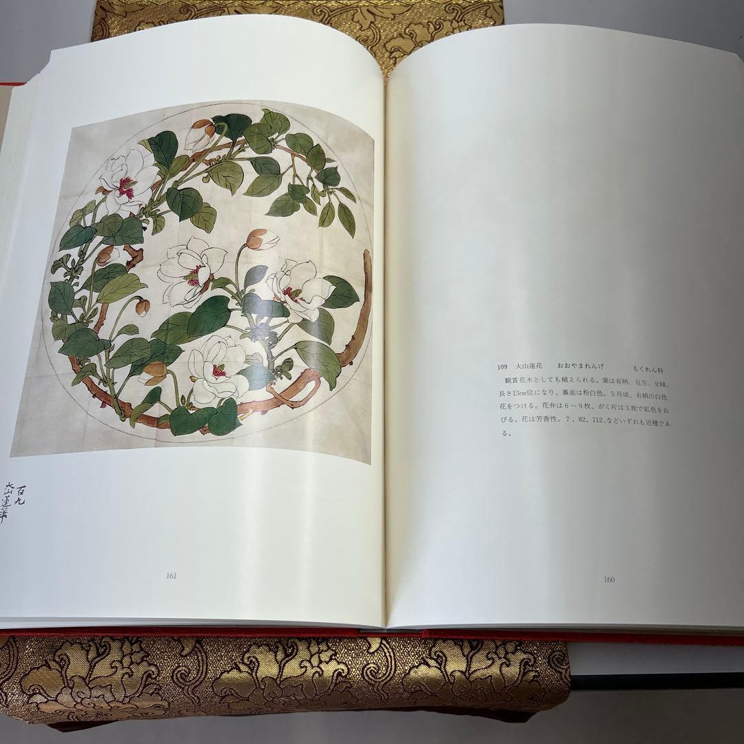 柴田是真花の丸集成　箱付き